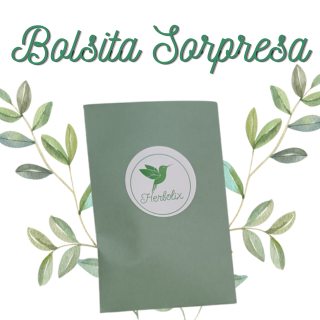 Bolsa sorpresa