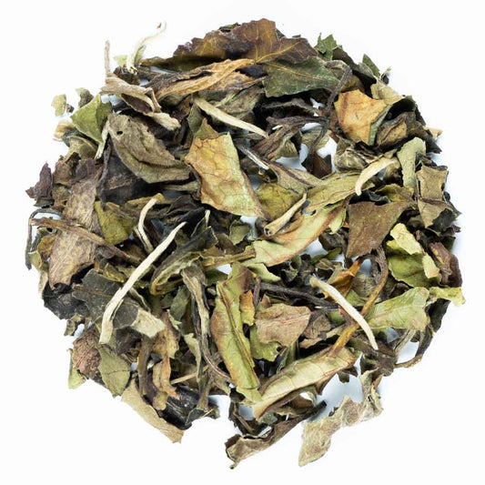 Té blanco Pai Mu Tan