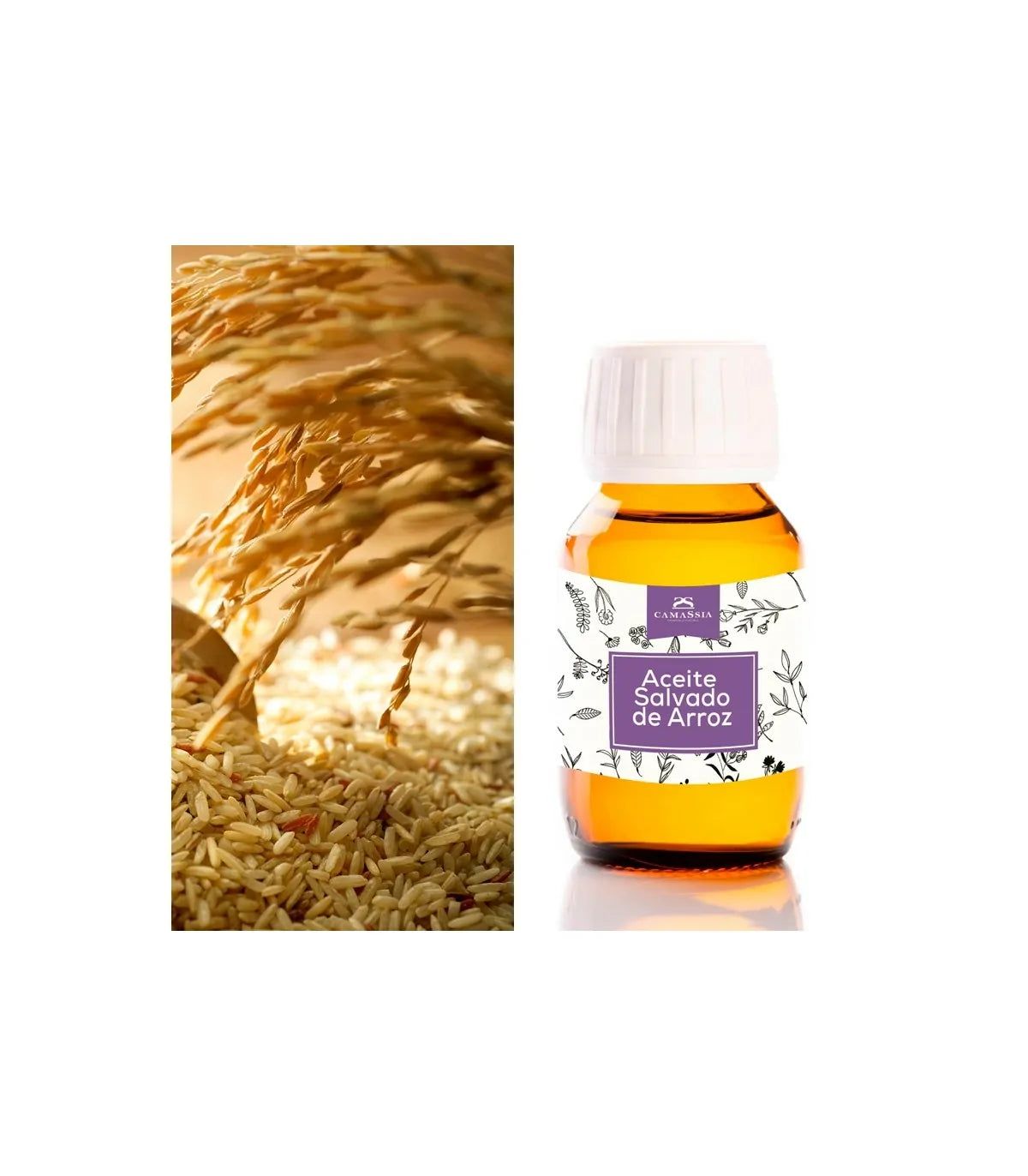 Aceite base de Salvado de arroz