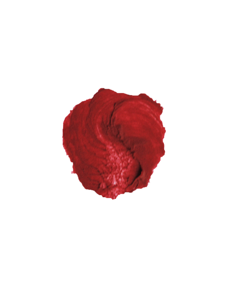 Barra de labios natural 100%