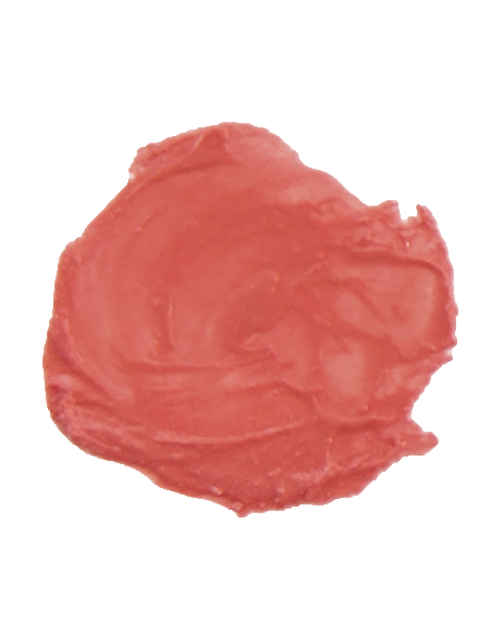 Barra de labios natural 100%