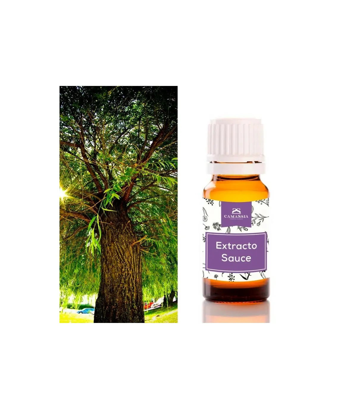 Ácido salicílico vegetal