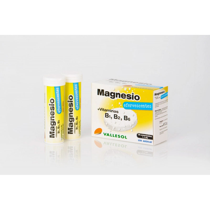 Magnesio+ vitaminas B1, B2 , B3