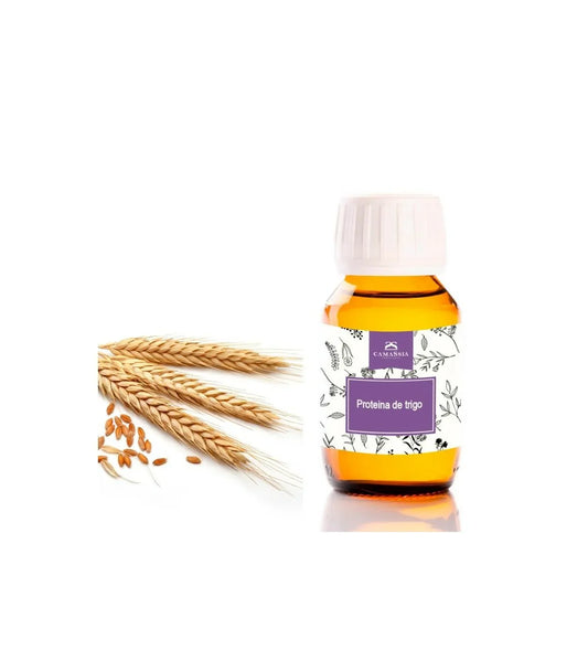 Keratina vegetal - Proteína de trigo